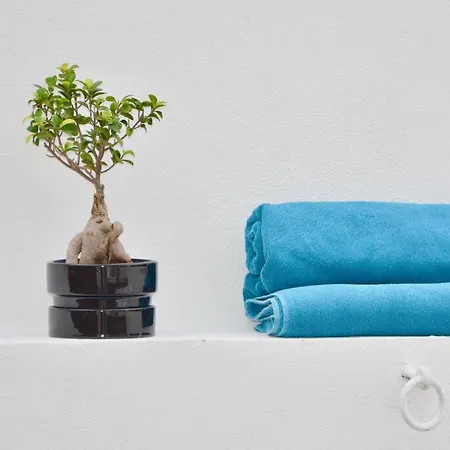 Apartament Porto Garden | Downtown