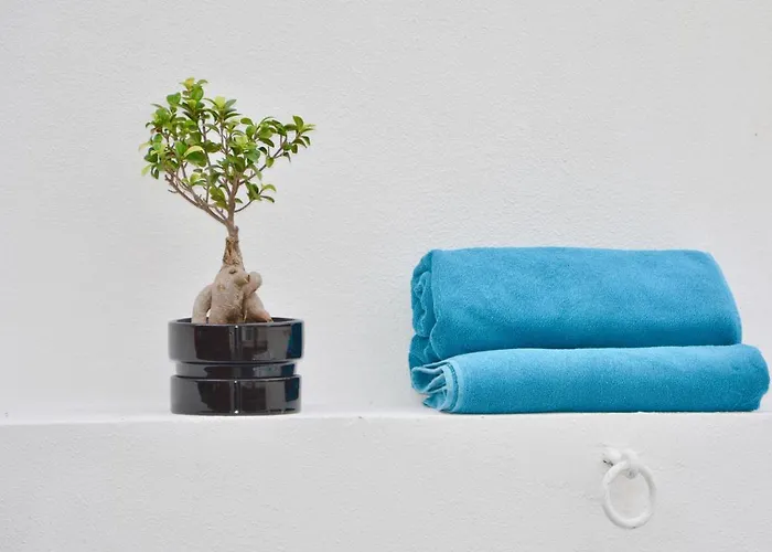 Apartment Porto Garden | Downtown